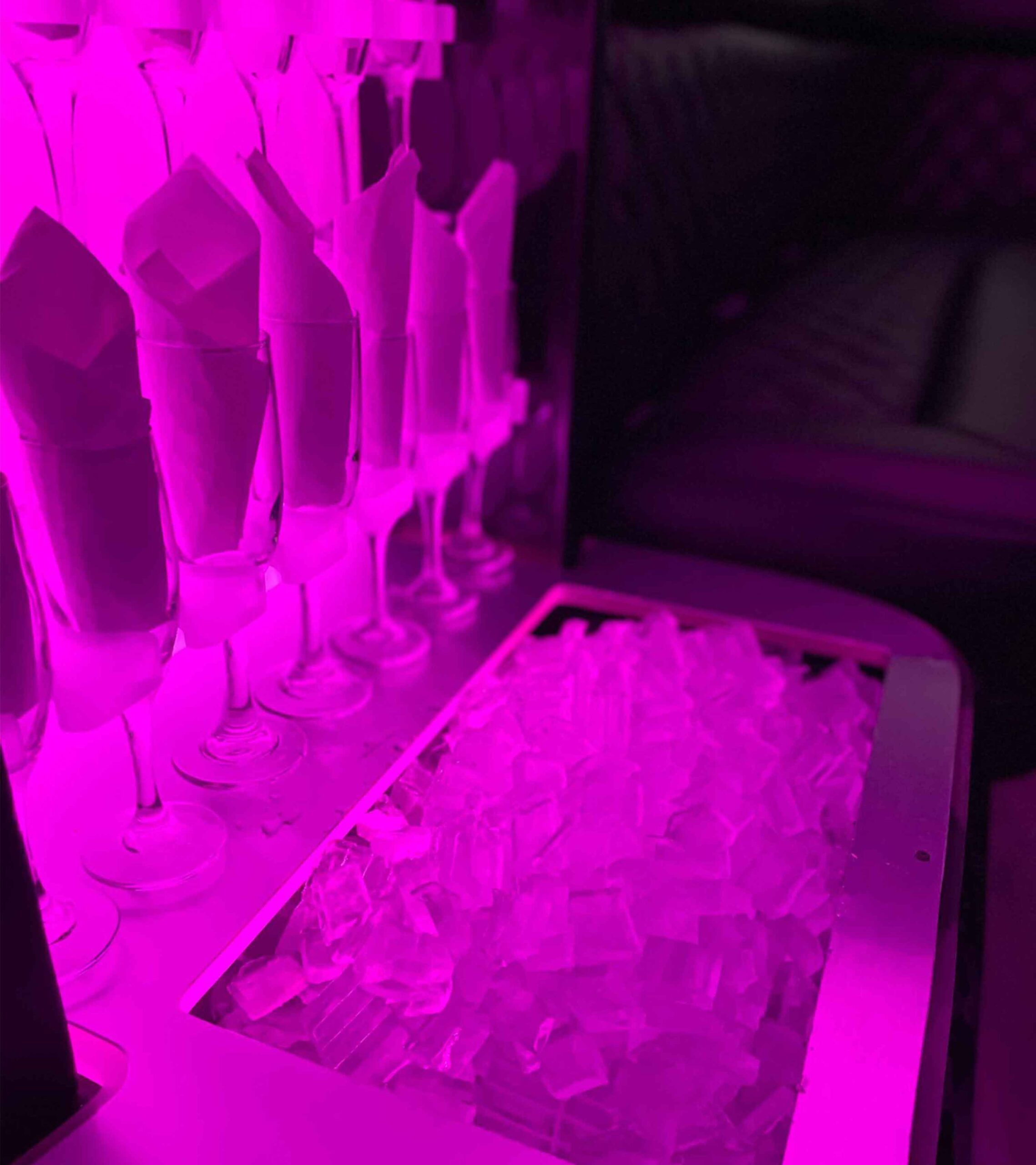 Limo-Van-Interior Rodeo Limo